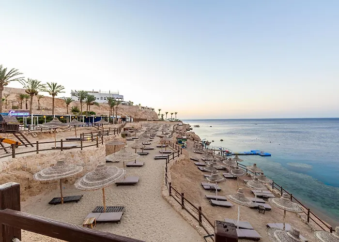 Sharm Resort Resort