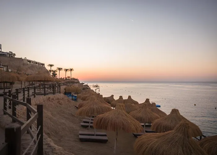 Resort Sharm Resort 4*